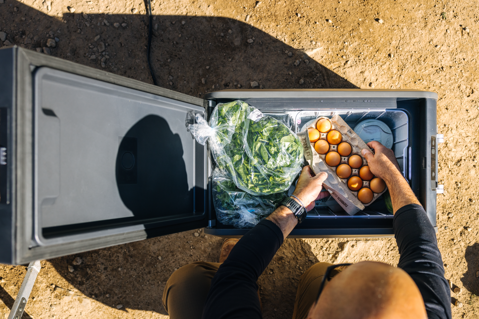CFX5 35L Electric Cooler
