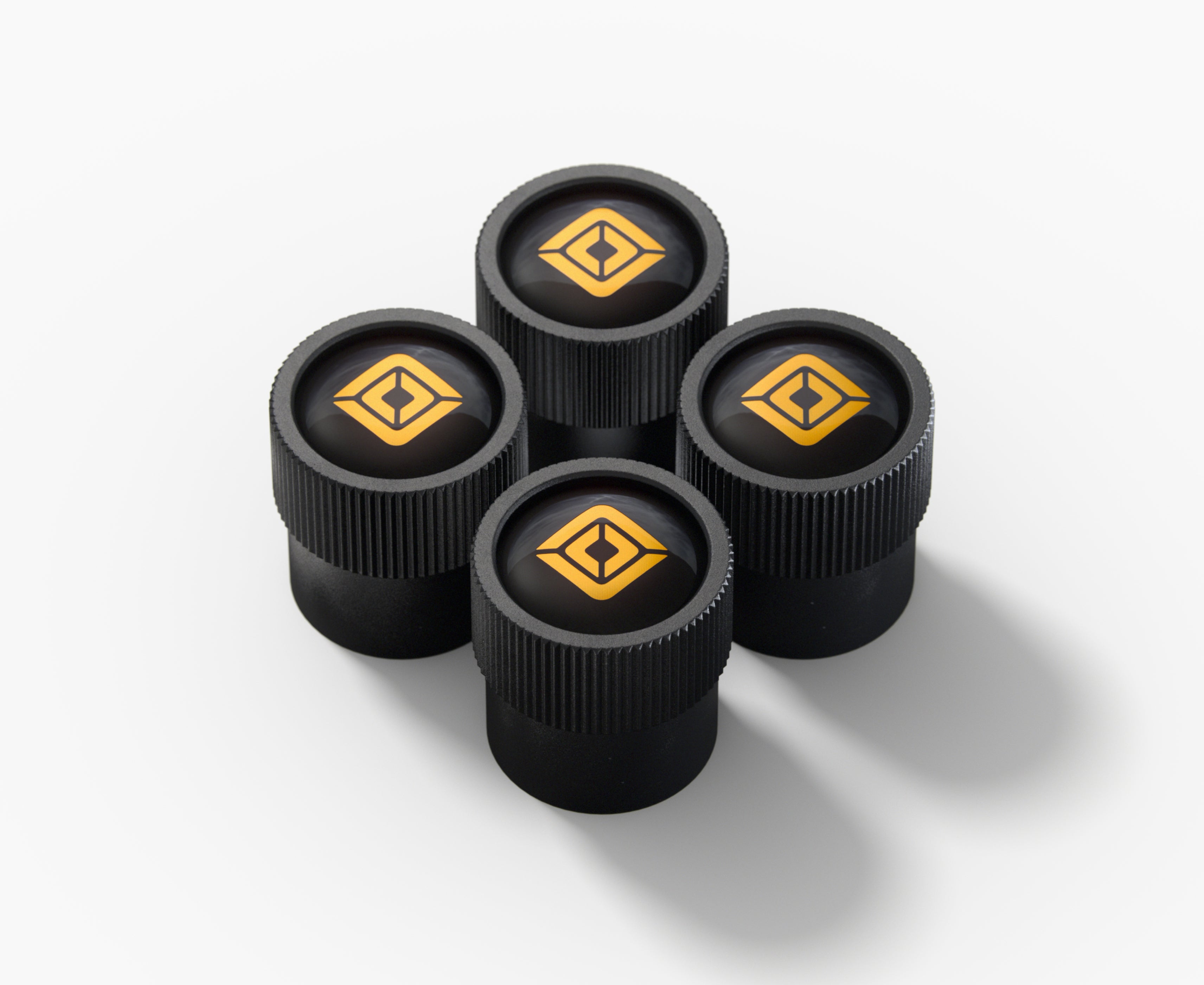 Compass Valve Stem Caps